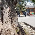 Old Olive Iii - Heated Pool - By Vivi Rent