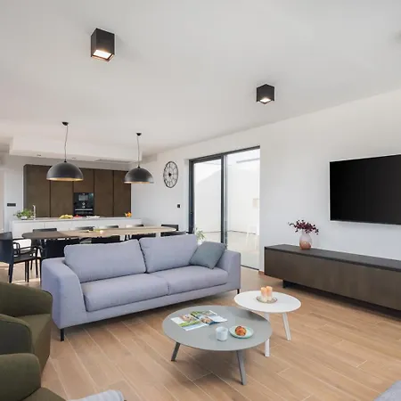 Old Olive Iii By Vivi Rent *