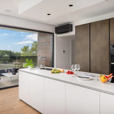 Old Olive Iii By Vivi Rent * ボドニャン