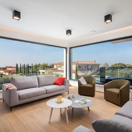 Old Olive Iii By Vivi Rent