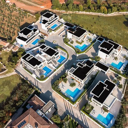 Old Olive Iii By Vivi Rent *